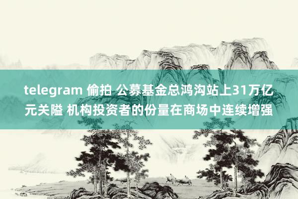 telegram 偷拍 公募基金总鸿沟站上31万亿元关隘 机构投资者的份量在商场中连续增强