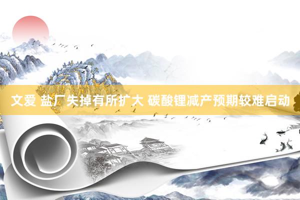 文爱 盐厂失掉有所扩大 碳酸锂减产预期较难启动