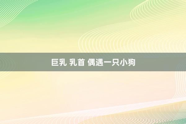 巨乳 乳首 偶遇一只小狗