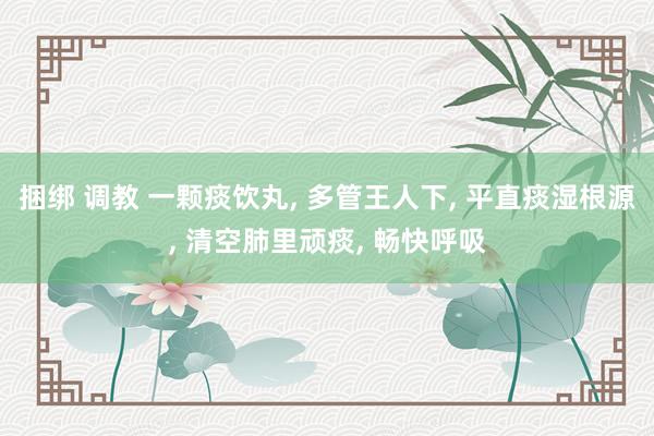 捆绑 调教 一颗痰饮丸, 多管王人下, 平直痰湿根源, 清空